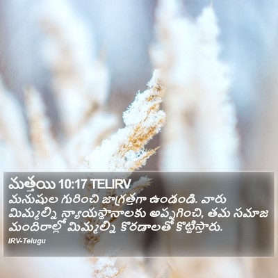 మత్తయి 10:17 TELIRV Bible Verse Image