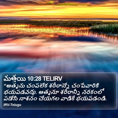 మత్తయి 10:28 TELIRV Bible Verse Image