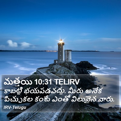 మత్తయి 10:31 TELIRV Bible Verse Image