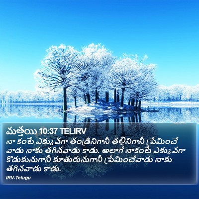 మత్తయి 10:37 TELIRV Bible Verse Image