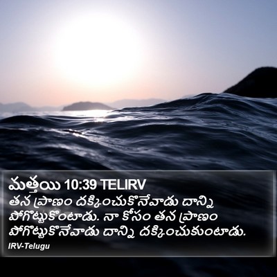మత్తయి 10:39 TELIRV Bible Verse Image