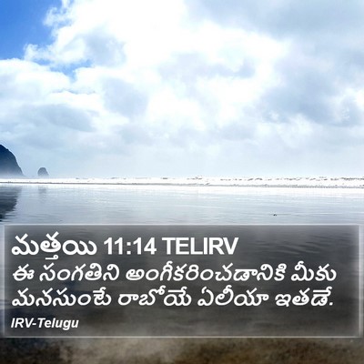 మత్తయి 11:14 TELIRV Bible Verse Image