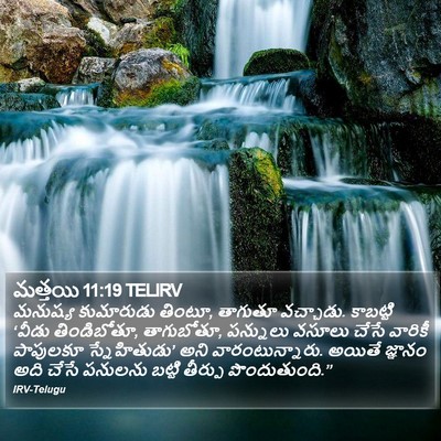 మత్తయి 11:19 TELIRV Bible Verse Image