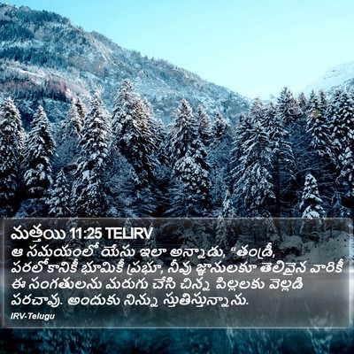 మత్తయి 11:25 TELIRV Bible Verse Image
