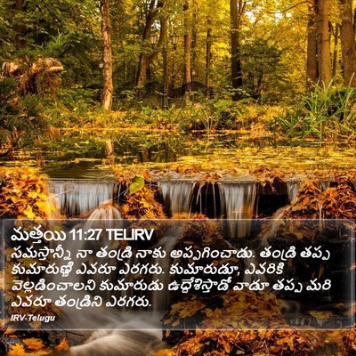మత్తయి 11:27 TELIRV Bible Verse Image