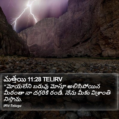మత్తయి 11:28 TELIRV Bible Verse Image