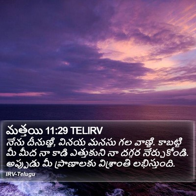 మత్తయి 11:29 TELIRV Bible Verse Image