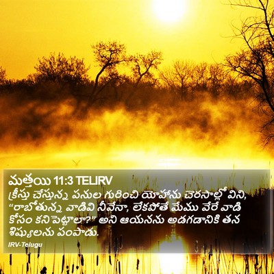 మత్తయి 11:3 TELIRV Bible Verse Image