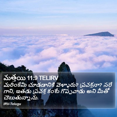 మత్తయి 11:9 TELIRV Bible Verse Image
