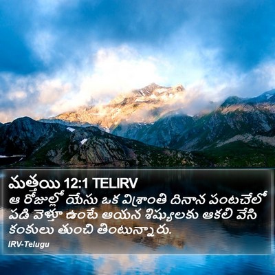 మత్తయి 12:1 TELIRV Bible Verse Image