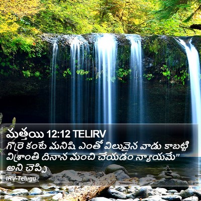 మత్తయి 12:12 TELIRV Bible Verse Image