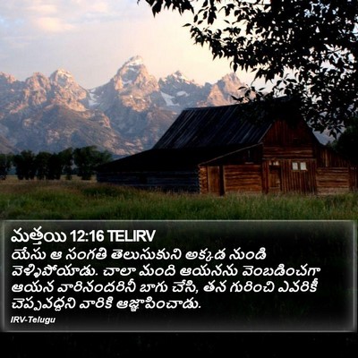 మత్తయి 12:16 TELIRV Bible Verse Image