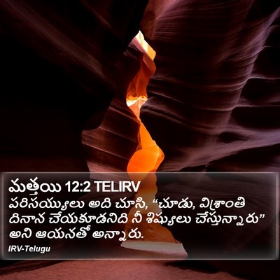 మత్తయి 12:2 TELIRV Bible Verse Image