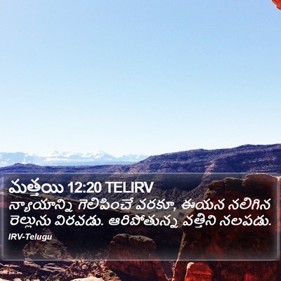 మత్తయి 12:20 TELIRV Bible Verse Image