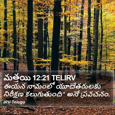 మత్తయి 12:21 TELIRV Bible Verse Image