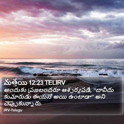 మత్తయి 12:23 TELIRV Bible Verse Image