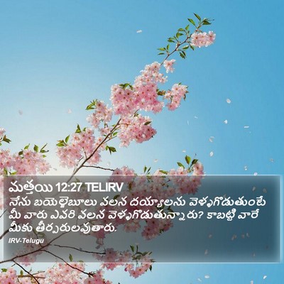 మత్తయి 12:27 TELIRV Bible Verse Image