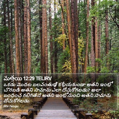 మత్తయి 12:29 TELIRV Bible Verse Image