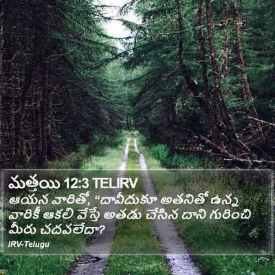 మత్తయి 12:3 TELIRV Bible Verse Image