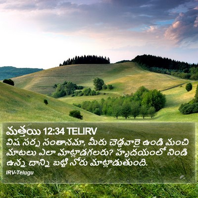 మత్తయి 12:34 TELIRV Bible Verse Image