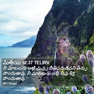 మత్తయి 12:37 TELIRV Bible Verse Image