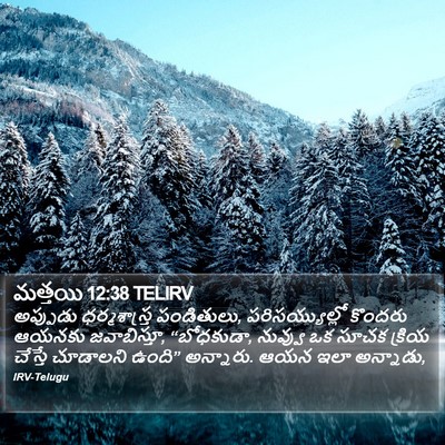 మత్తయి 12:38 TELIRV Bible Verse Image