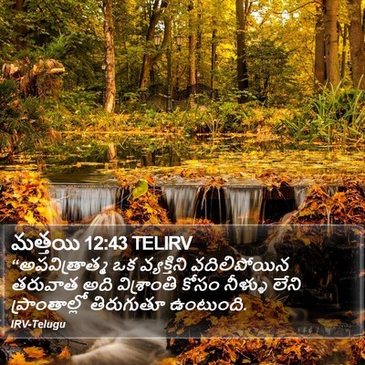 మత్తయి 12:43 TELIRV Bible Verse Image