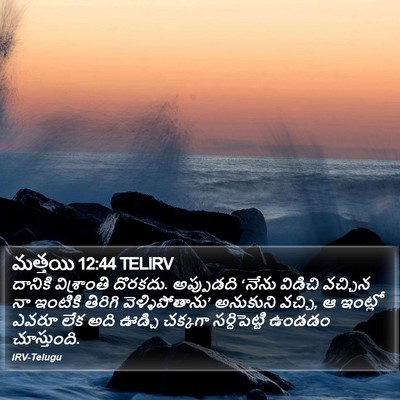 మత్తయి 12:44 TELIRV Bible Verse Image
