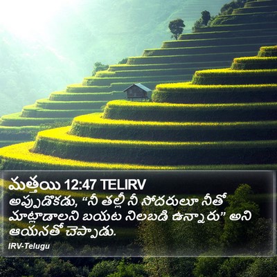 మత్తయి 12:47 TELIRV Bible Verse Image