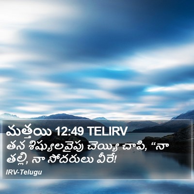 మత్తయి 12:49 TELIRV Bible Verse Image