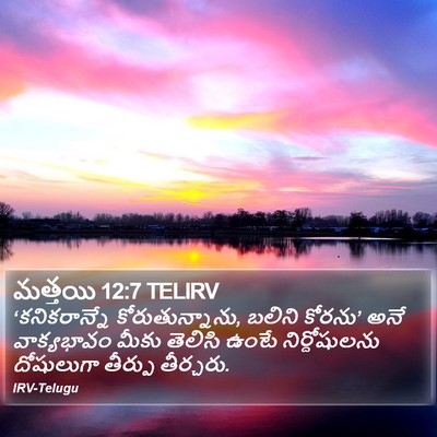 మత్తయి 12:7 TELIRV Bible Verse Image