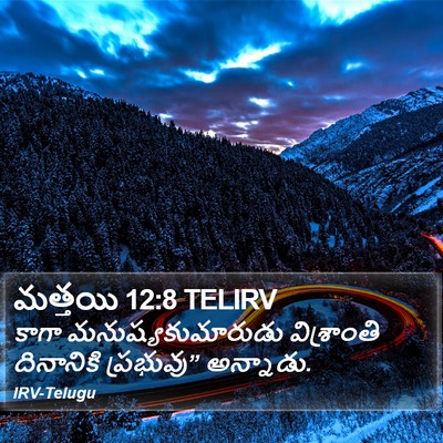 మత్తయి 12:8 TELIRV Bible Verse Image