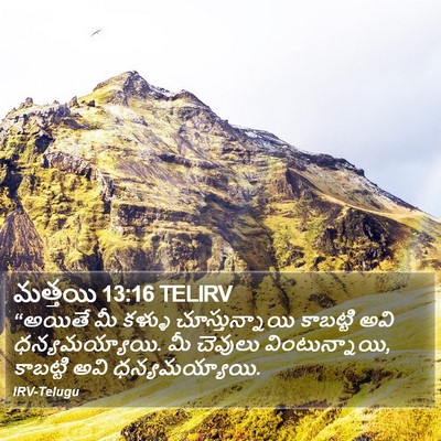 మత్తయి 13:16 TELIRV Bible Verse Image