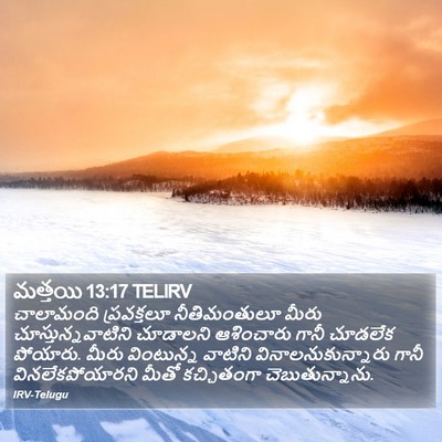 మత్తయి 13:17 TELIRV Bible Verse Image