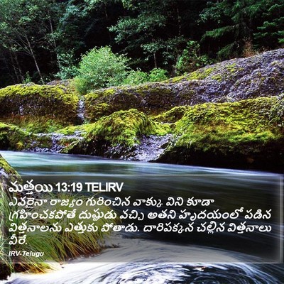 మత్తయి 13:19 TELIRV Bible Verse Image