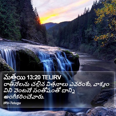 మత్తయి 13:20 TELIRV Bible Verse Image