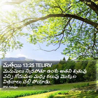 మత్తయి 13:25 TELIRV Bible Verse Image