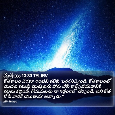 మత్తయి 13:30 TELIRV Bible Verse Image