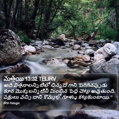 మత్తయి 13:32 TELIRV Bible Verse Image