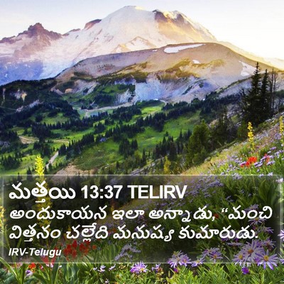 మత్తయి 13:37 TELIRV Bible Verse Image