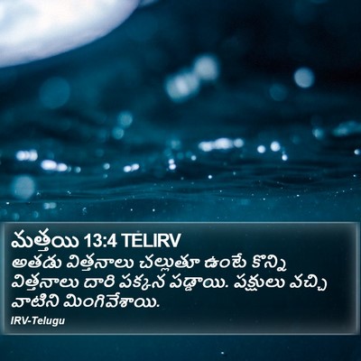 మత్తయి 13:4 TELIRV Bible Verse Image