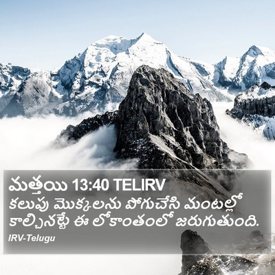 మత్తయి 13:40 TELIRV Bible Verse Image