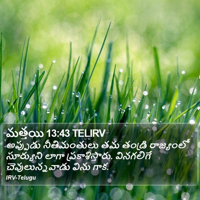 మత్తయి 13:43 TELIRV Bible Verse Image