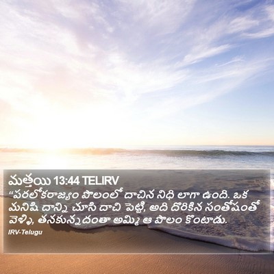 మత్తయి 13:44 TELIRV Bible Verse Image