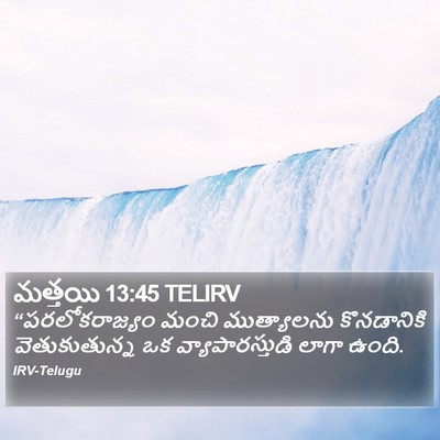 మత్తయి 13:45 TELIRV Bible Verse Image