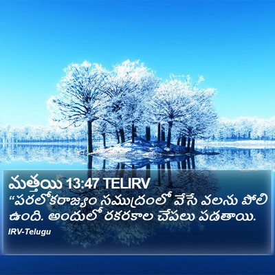 మత్తయి 13:47 TELIRV Bible Verse Image
