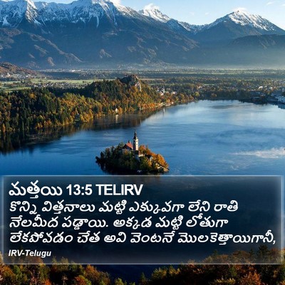 మత్తయి 13:5 TELIRV Bible Verse Image