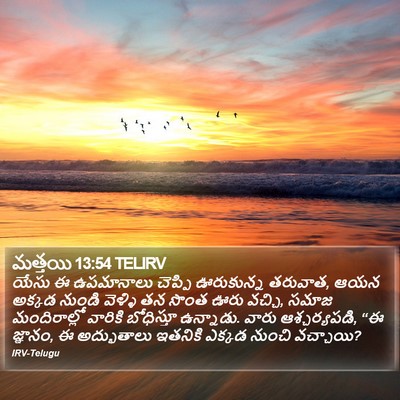 మత్తయి 13:54 TELIRV Bible Verse Image