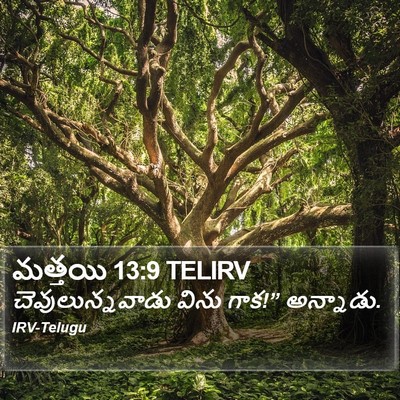 మత్తయి 13:9 TELIRV Bible Verse Image