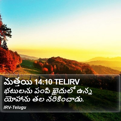 మత్తయి 14:10 TELIRV Bible Verse Image